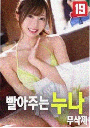 海岸线的四季自然纪录片索引卡封面